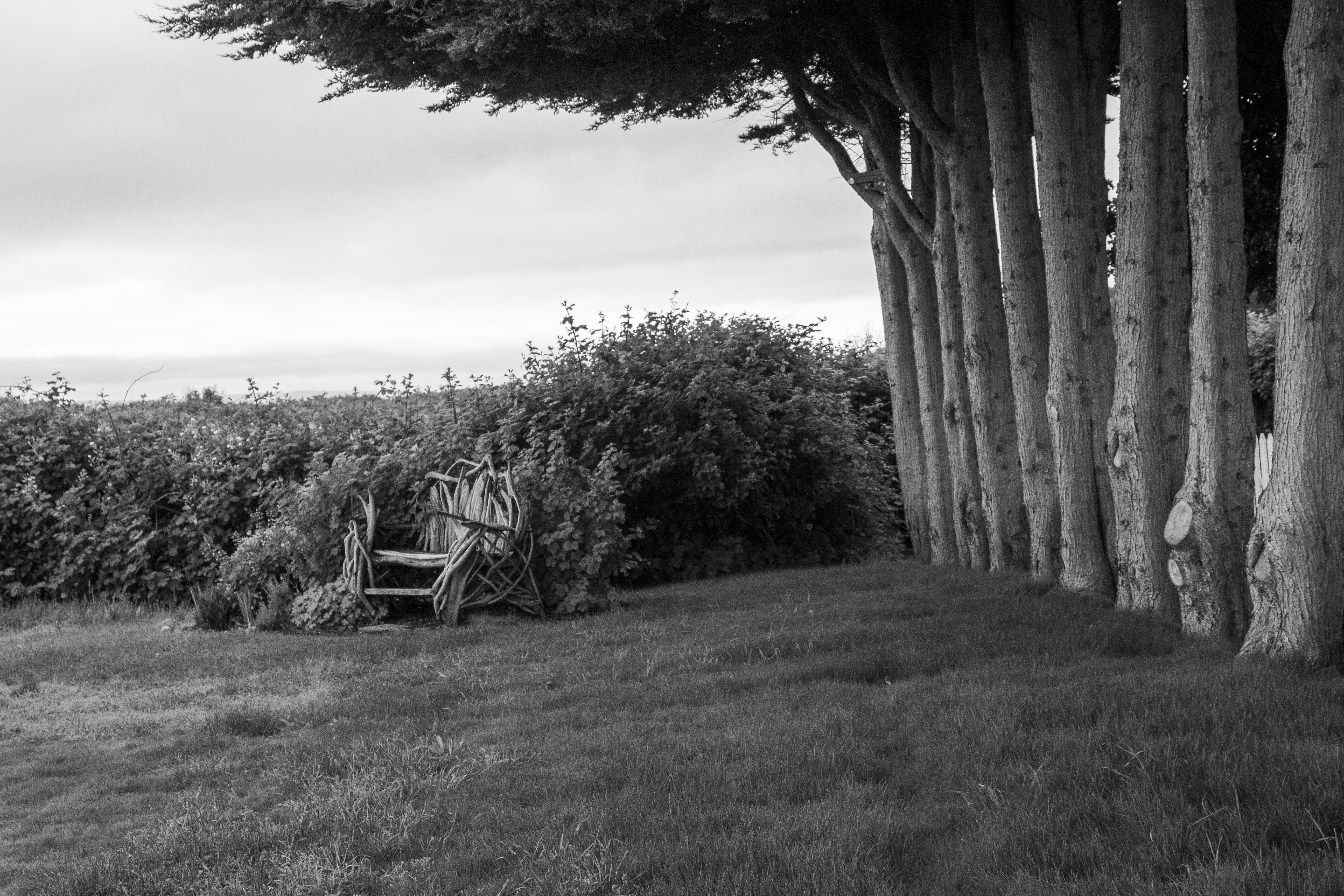 Chair