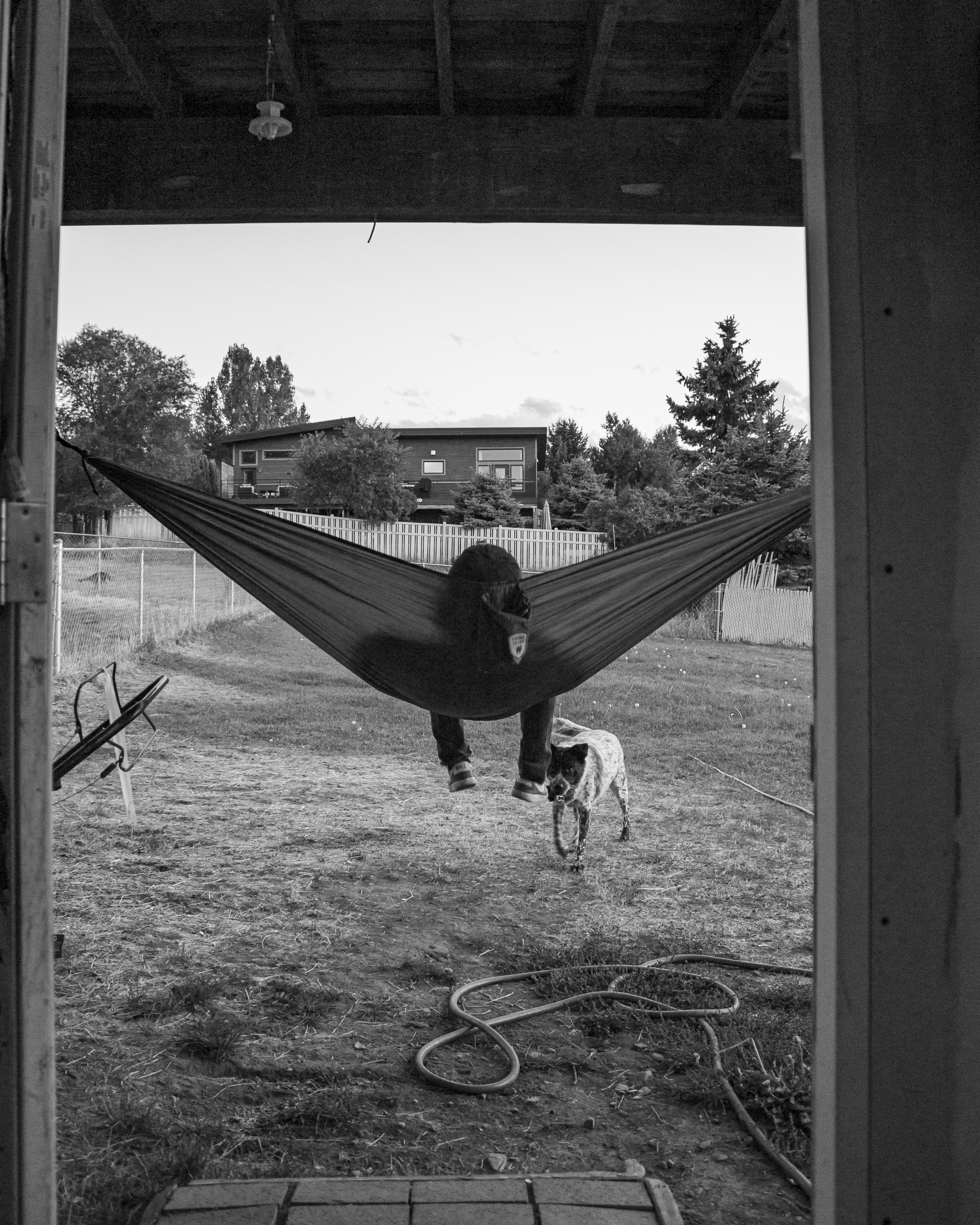 Swing
